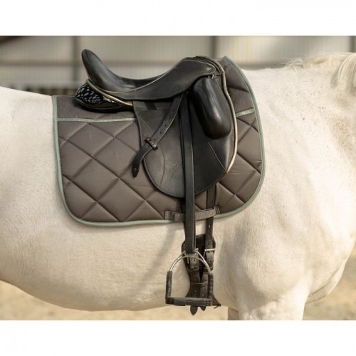 QHP Zadeldekje Equestrian Dream