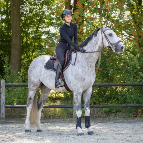 QHP all-purpose girth Air Mesh