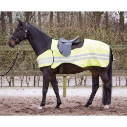 Harry's Horse exercise sheet reflective