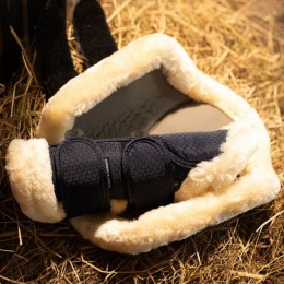 Harry's Horse SS25 Leg protectors Flextrainer Carbon