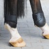 Kavalkade Fetlock Boots "Compete"