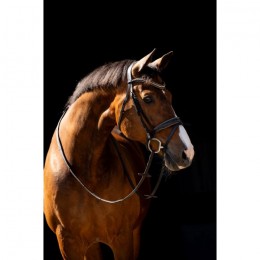 HB Showtime Bridle Jump Rocky Glitter