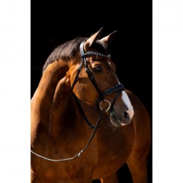 HB Showtime Bridle Jump Rocky Glitter