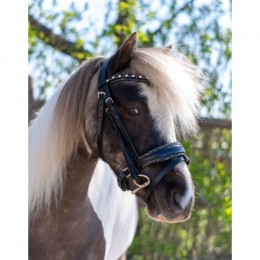 HB Showtime Bridle Welsh Rocky Glitter