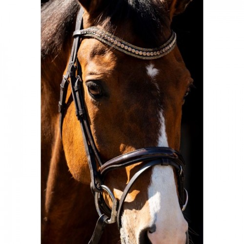 HB Showtime Bridle Jump Patent