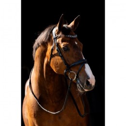 HB Showtime Bridle Jump Patent