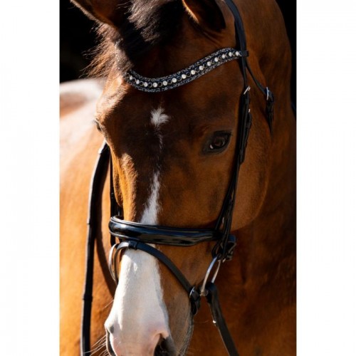 HB Showtime Bridle Jump Patent