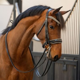 HB Showtime Double Bridle One in a Million