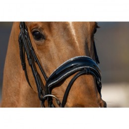 HB Showtime Bridle It Is So Special