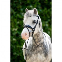 HB Showtime Bridle Stockholm