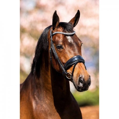 HB Showtime Bridle Fancy Patent