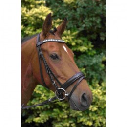 HB Showtime Bridle Evalira