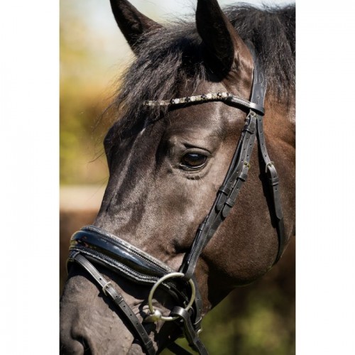 HB Showtime Bridle Evalira