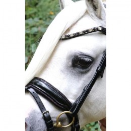 HB Showtime Bridle Special A-pony