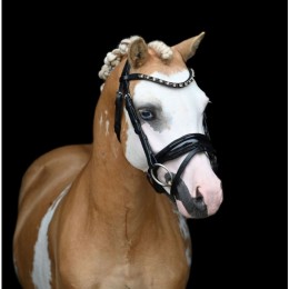 HB Showtime Bridle Special A-pony