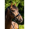 HB Showtime Bridle Sweet Dreams
