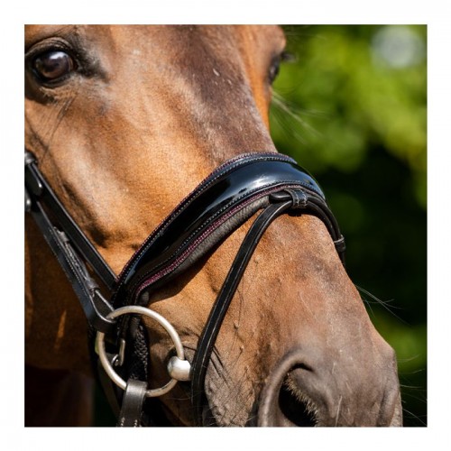 HB Showtime Bridle Sweet Dreams