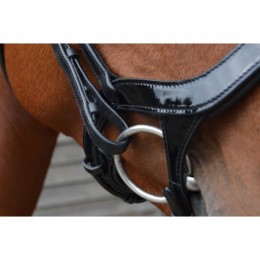 HB Showtime Bridle Freedom Shine Patent