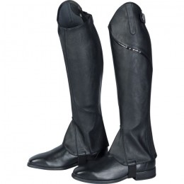 Harry's Horse Minichaps Melody