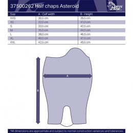 Harry's Horse Minichaps Asteroid