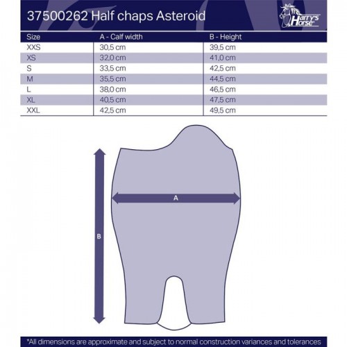 Harry's Horse Minichaps Asteroid