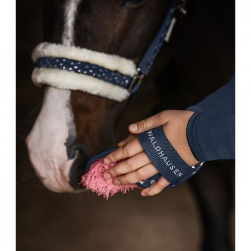 Waldhausen Lucky Dandy Brush