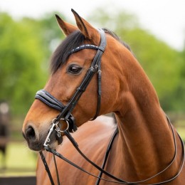 HB Showtime Double Bridle All You Needed