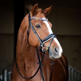 HB Showtime Bridle Snowflake