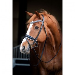 HB Showtime Bridle Snowflake