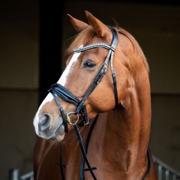 HB Showtime Bridle Snowflake