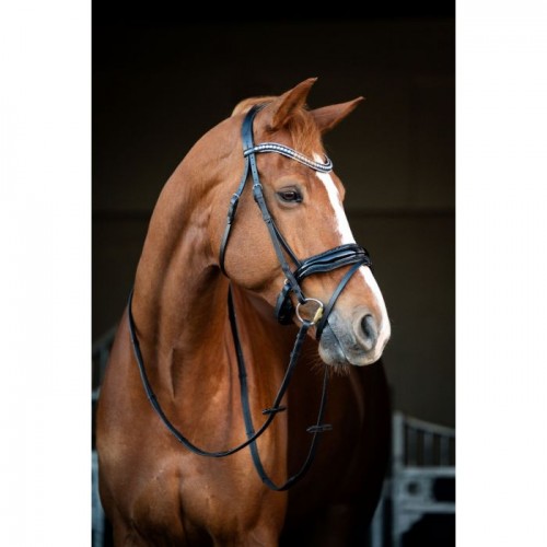 HB Showtime Bridle Snowflake