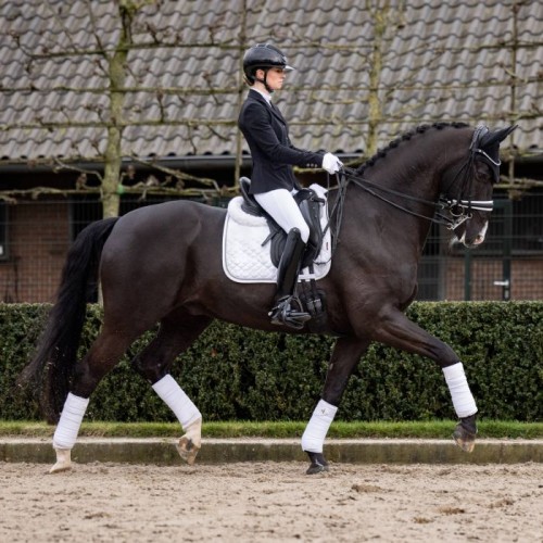 LeMieux Saddlepad Crystal Suede white