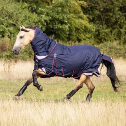 LeMieux Kudos turnout rug 50gr