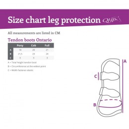 QHP Tendon Boots Ontario