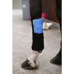 Kentucky Tendon Grip Sock
