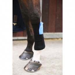 Kentucky Tendon Grip Sock