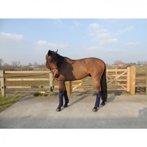 Kentucky Wool bandages