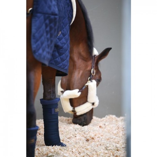 Kentucky stable bandage pad