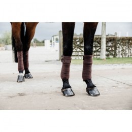 Kentucky Polar Fleece Bandages Pearls