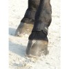 Kentucky Pastern Wrap