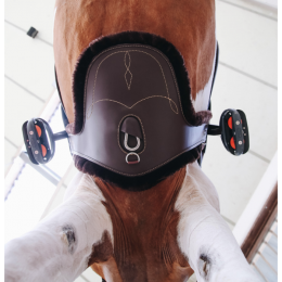 Kentucky Sheepskin Stud Girth