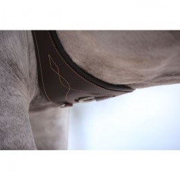 Kentucky Anatomic Girth