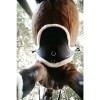 Kentucky Sheepskin Stud Girth Special