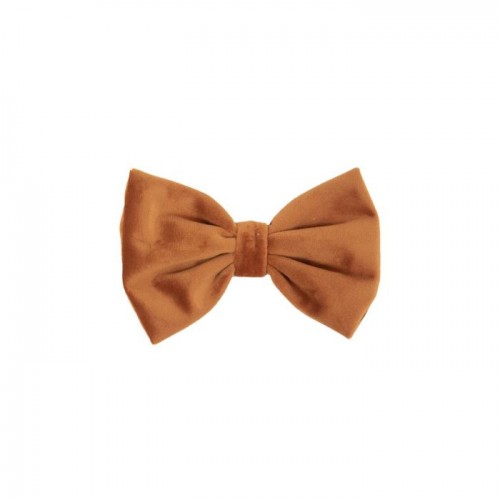 Kentucky Bow Tie Velvet