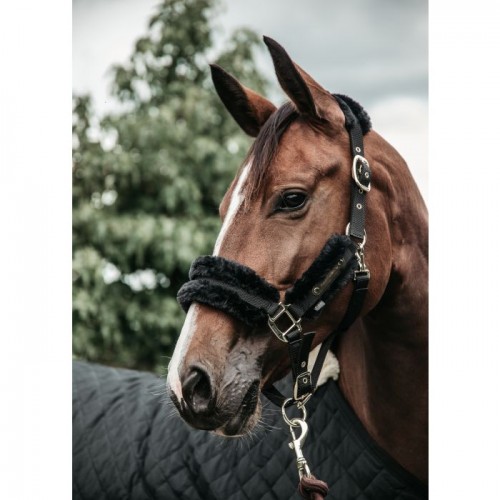 Kentucky nylon sheepskin halter