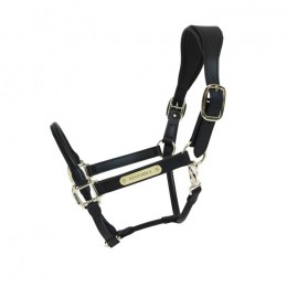 Kentucky Anatomic Leather Halter