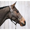 Kentucky Anatomic Leather Halter