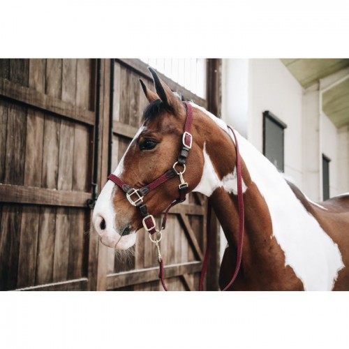 Kentucky Plaited Nylon Dog