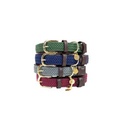 Kentucky nylon plaited dog collar