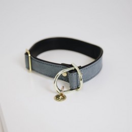 Kentucky Dog Collar Loop